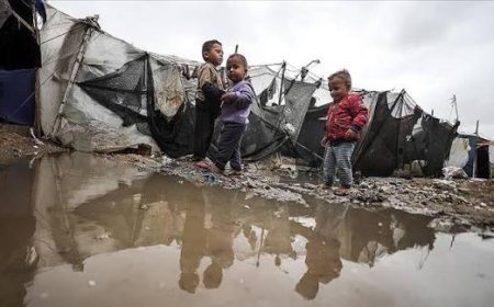 وفاة طفلة رضيعة جديدة في غزة بسبب البرد