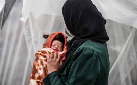 "يونيسف": وفيات المواليد في غزة ترتفع 75%