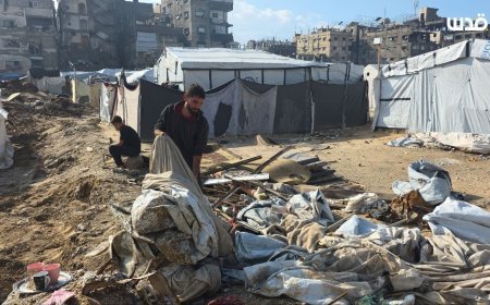 268 انتهاكًا إسرائيليًا في الأسبوع التاسع من وقف إطلاق النار بغزة