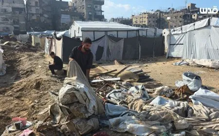 268 انتهاكًا إسرائيليًا في الأسبوع التاسع من وقف إطلاق النار بغزة