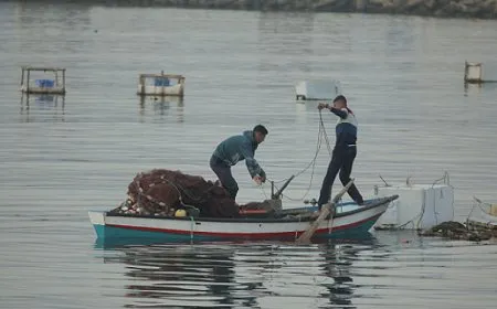 الاحتلال يعتقل 4 صيادين ويفجر مركبهم.. 230 شهيداً منذ بدء الحرب