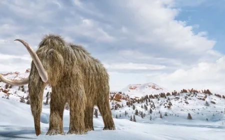 أقدم حمض نووي ريبوزي وجد بماموث صوفي