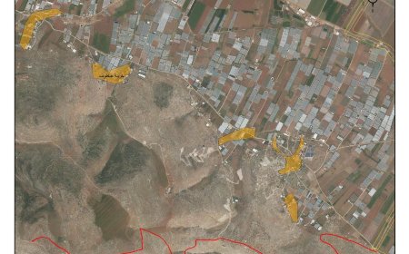 الاحتلال يقرر مصادرة عشرات الدونمات من أراضي المواطنين في طوباس