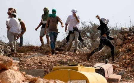 مستوطنون يعتدون على ممتلكات الفلسطينيين في الضفة الغربية ويدهسون شابا شرق نابلس