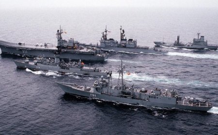 منظمة العفو الدولية تدعو لمنع سفينة تحمل أسلحة من الوصول إلى "إسرائيل"