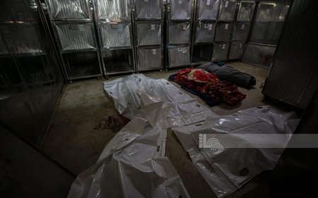 13 شهيدًا بيومين.. و70 ألفًا و925 حصيلة شهداء الإبادة الإسرائيلية بغزة