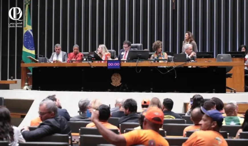 البرازيل تؤكد موقفها الثابت في دعم فلسطين خلال جلسة "اليوم العالمي لحقوق الإنسان"