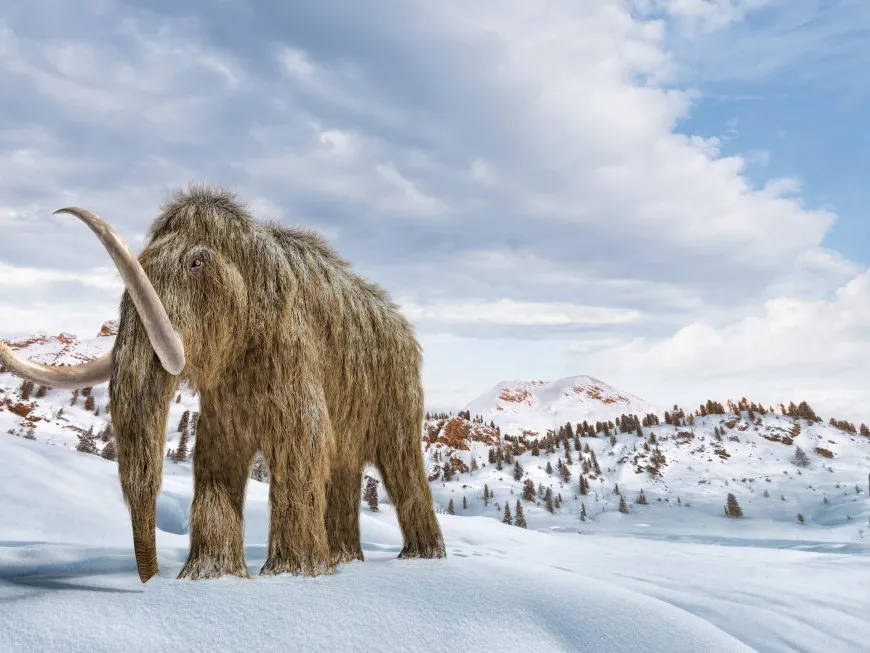 أقدم حمض نووي ريبوزي وجد بماموث صوفي