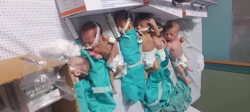 ارتفاع الإجهاض وتراجع المواليد 40% بفعل التجويع واستهداف مراكز التخصيب في قطاع غزة