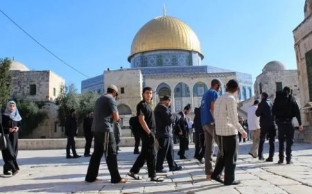 مستوطنون يقتحمون المسجد الأقصى ويؤدون طقوسا تلمودية تحت حماية الاحتلال