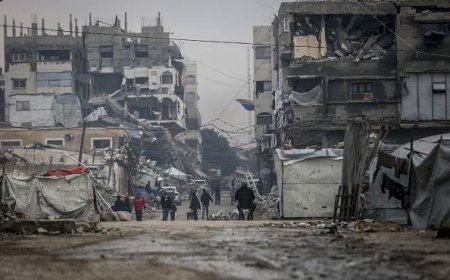 منظمة «بتسيلم» الحقوقية الإسرائيلية: الإبادة في غزة مستمرة ووقف النار غطاء لتوسيع السيطرة العسكرية