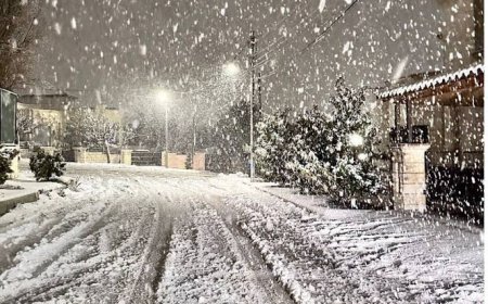 الأردن.. تساقط الثلوج على المرتفعات الجنوبية وتعليق للدوام في عدة جامعات