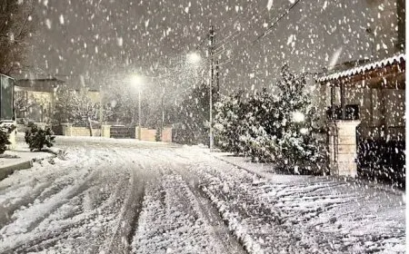 الأردن.. تساقط الثلوج على المرتفعات الجنوبية وتعليق للدوام في عدة جامعات