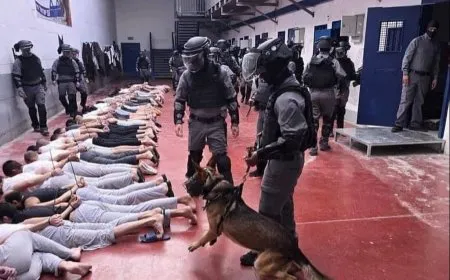 الجرب يتفشى بين أسرى جلبوع والإهمال الطبي يتعمّق كسياسة منظمة