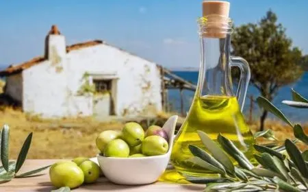 خارطة توزيع زيت الزيتون التونسي بالأردن: أين تجده وبأي أسعار؟