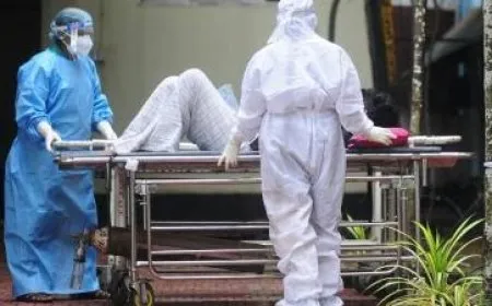 فيروس نيباه القاتل يثير الذعر في الهند: هل يواجه العالم الوباء القادم؟