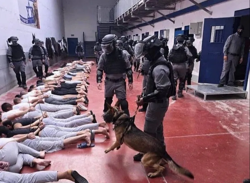 الجرب يتفشى بين أسرى جلبوع والإهمال الطبي يتعمّق كسياسة منظمة