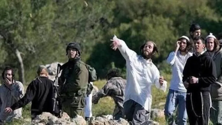 مستوطنون يهاجمون مركبات المواطنين بالمزرعة الشرقية وتصعيد في الضفة
