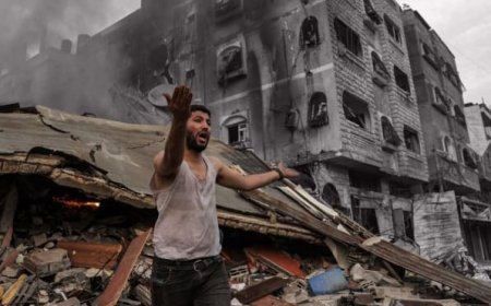 الغارديان: انخفاض سكان غزة بـ 254 ألف نسمة جراء الحرب