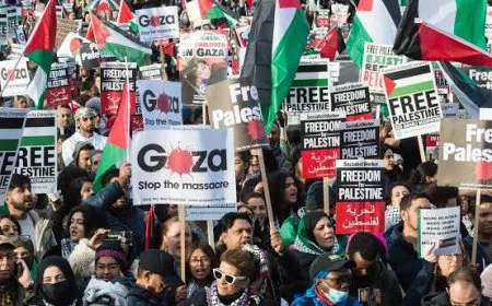 عاجل: الحراك العالمي لأجل غزة يدعو لمسيرات كبرى في فبراير2026