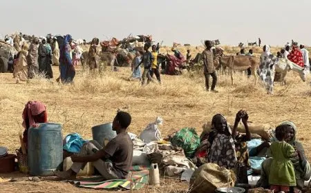 عاجل السودان.. واشنطن تتوعد الجناة بعد الهجوم على قافلة الغذاء