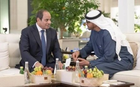 قمة السيسي وبن زايد.. استثمارات بـ 65 مليار دولار وملفات ساخنة