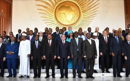 بيان القمة الإفريقية 2026: مطالبة بعضوية كاملة لفلسطين ورفض التهجير