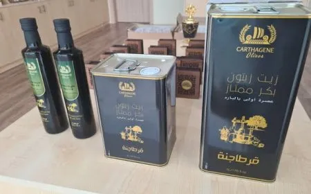 زيت الزيتون التونسي في الأردن.. أسعار اليوم 21 فبراير 2026