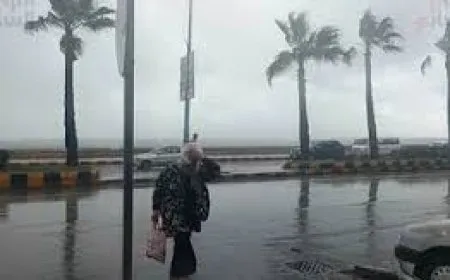 طقس مصر اليوم: موجة برد وأمطار رعدية ورياح تضرب البلاد