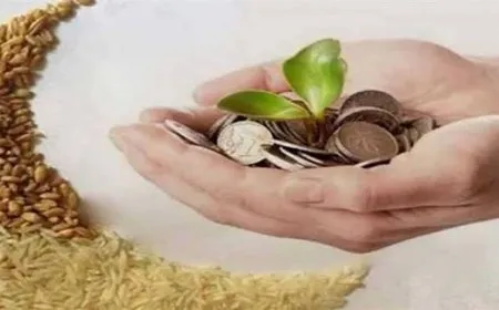 قيمة زكاة الفطر في الأردن لعام 2026 ومقدار فدية الصيام