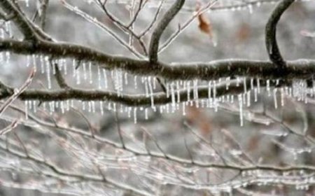 توقعات طقس الأردن.. منخفض قطبي يضرب المملكة وتحذيرات من الصقيع