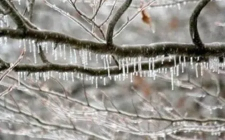 توقعات طقس الأردن.. منخفض قطبي يضرب المملكة وتحذيرات من الصقيع