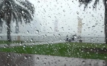 حالة الطقس اليوم السبت 28 فبراير 2026 ودرجات الحرارة في مصر