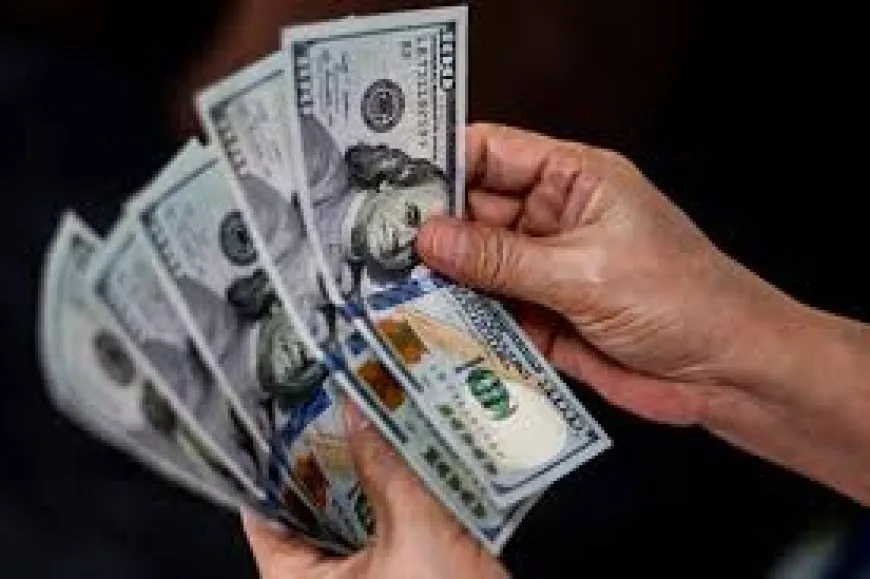سعر صرف الدولار اليوم في مصر الأحد 1 فبراير 2026 بالبنوك