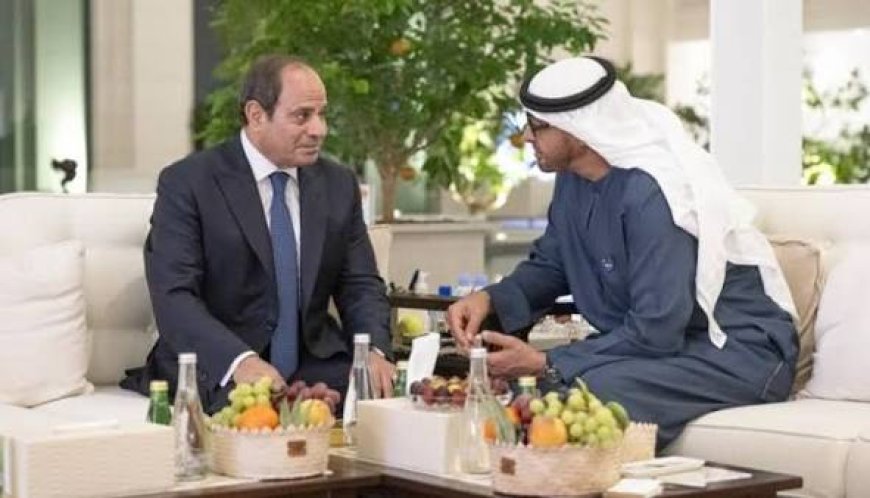 قمة السيسي وبن زايد.. استثمارات بـ 65 مليار دولار وملفات ساخنة