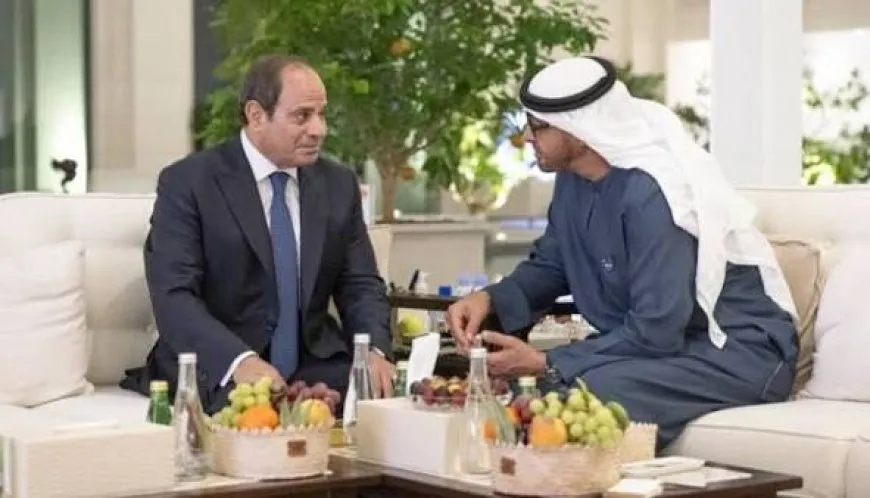 قمة السيسي وبن زايد.. استثمارات بـ 65 مليار دولار وملفات ساخنة