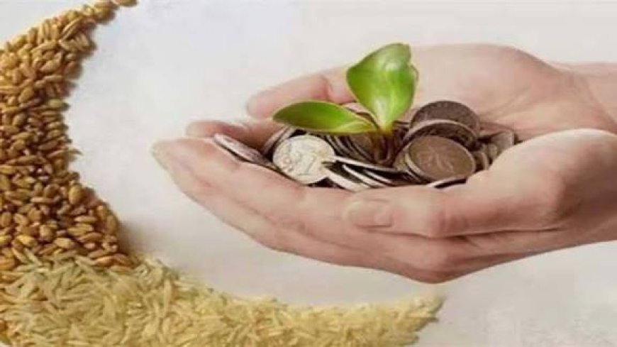 قيمة زكاة الفطر في الأردن لعام 2026 ومقدار فدية الصيام