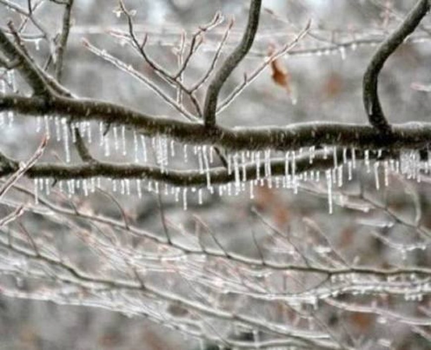 توقعات طقس الأردن.. منخفض قطبي يضرب المملكة وتحذيرات من الصقيع