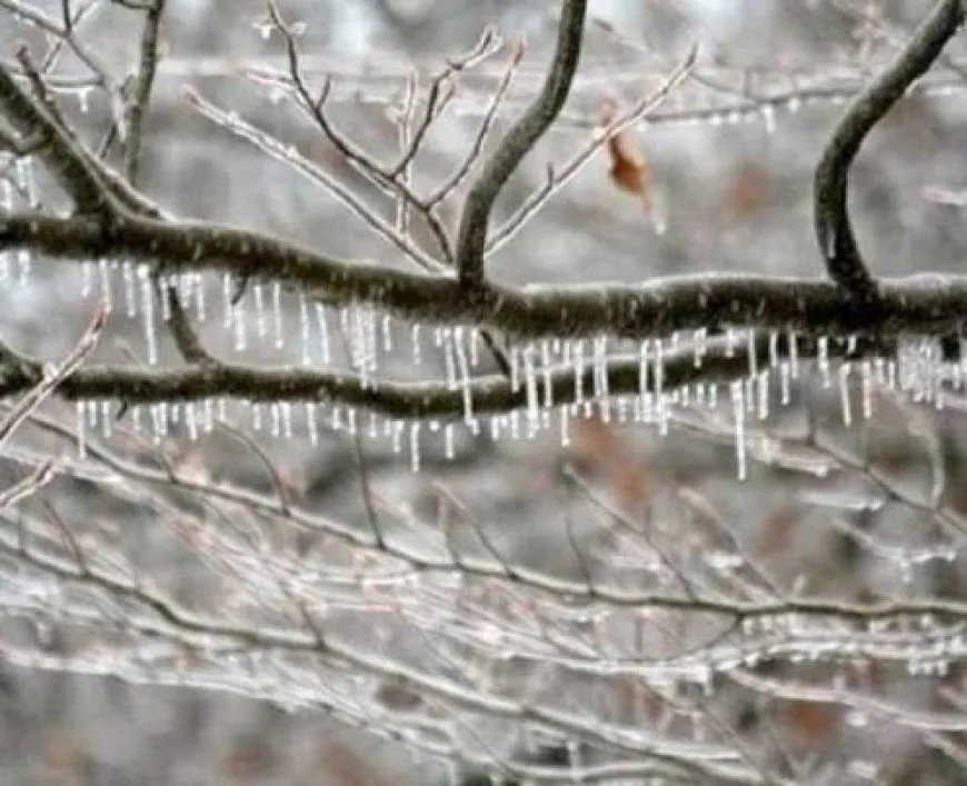 توقعات طقس الأردن.. منخفض قطبي يضرب المملكة وتحذيرات من الصقيع