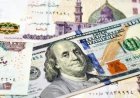 تحديث. ارتفاع سعر الدولار في مصر مقابل الجنيه