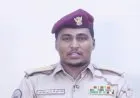 عاجل| الدعم السريع تعلن السيطرة على مواقع استراتيجية في شمال كردفان والنيل الأزرق