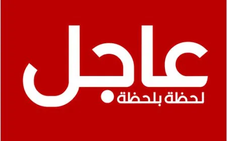 حزب الله: إسقاط طائرة مسيرة إسرائيلية في أجواء مدينة النبطية