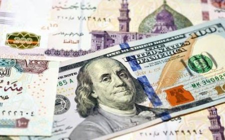 سعر الدولار مقابل الجنيه المصري اليوم الأحد
