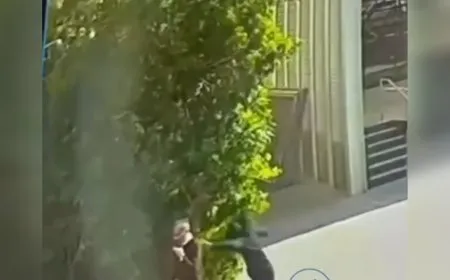 عاجل عملية طعن رمات غان وإصابة مسؤول بارز في حزب شاس ( فيديو)