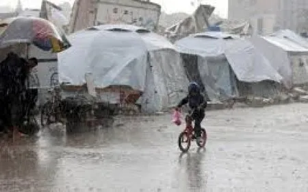 طقس فلسطين: منخفض جوي قادم وأمطار وعواصف رعدية الأحد