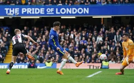 عاجل .. نيوكاسل يخطف فوزًا ثمينًا أمام تشيلسي