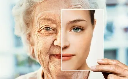 دواء لمكافحة الشيخوخة: تقنية إعادة البرمجة الجزئية قد تستعيد وظائف الأعضاء