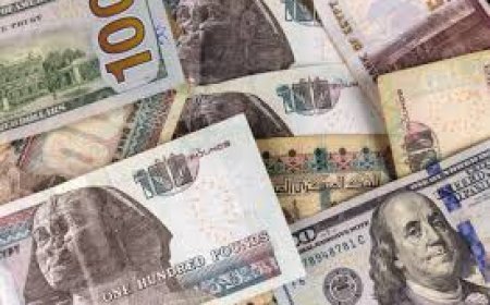 أسعار صرف الدولار في البنوك المصرية اليوم الأربعاء 25 مارس