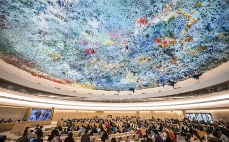 مجلس حقوق الإنسان يعتمد قراراً لضمان المساءلة والعدالة بفلسطين