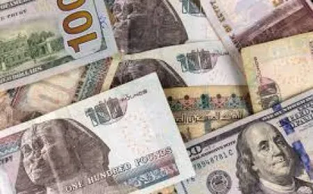 انهيار الجنيه المصري.. سعر الدولار يسجل 54.7 جنيهًا لأول مرة